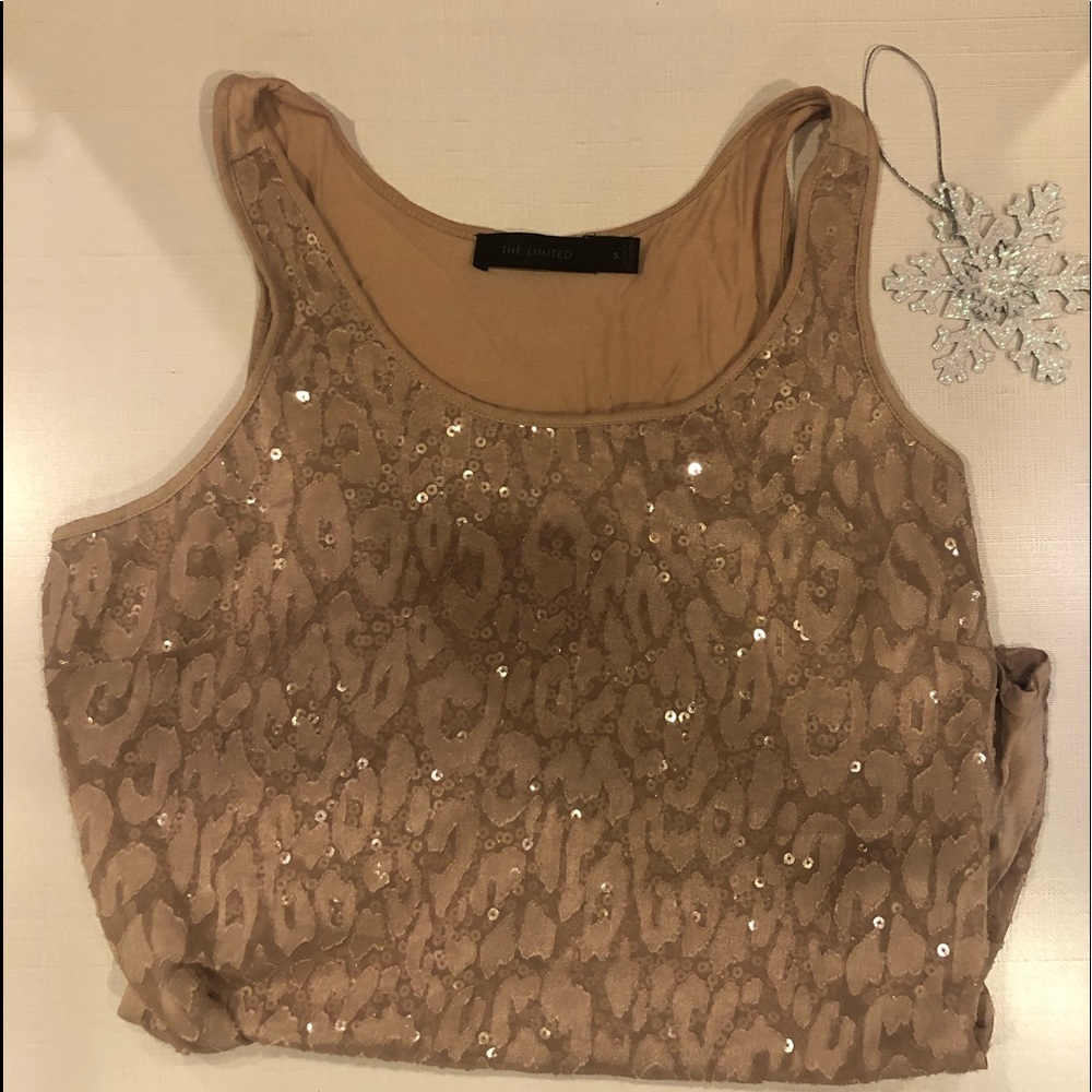 Dressy top from the Limited